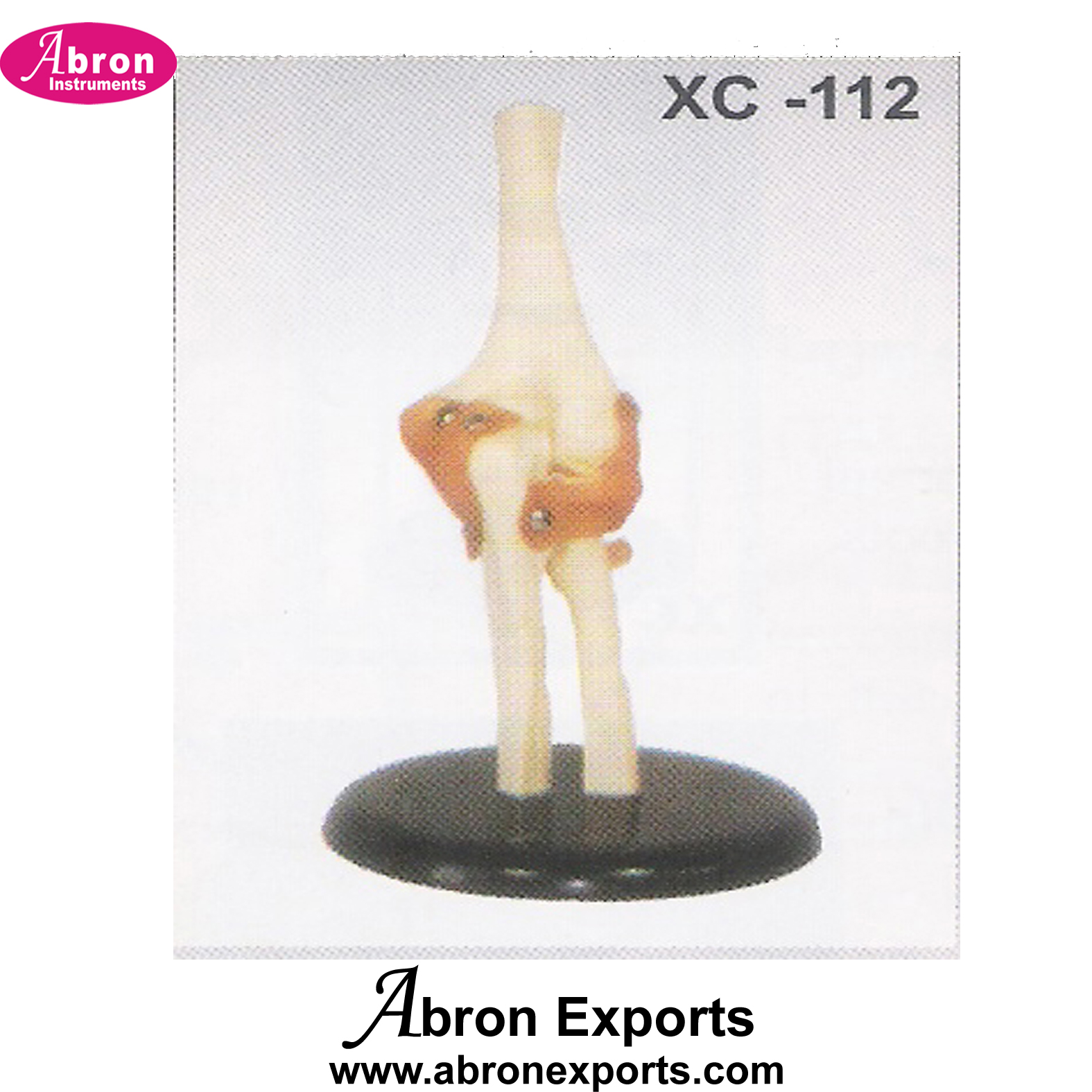 Model Human Elbow Joint Functional life size Human Model Nursing and Medical Model abron XC-112